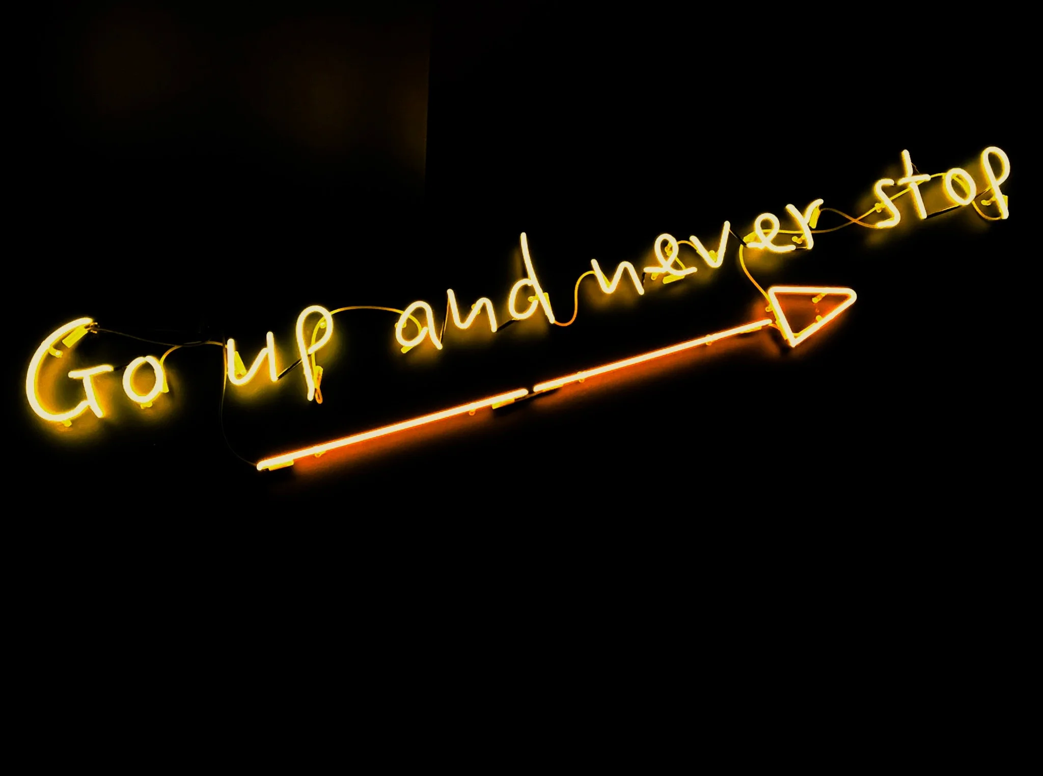 Knowing When to Quit: The Art of Letting Go in Entrepreneurship